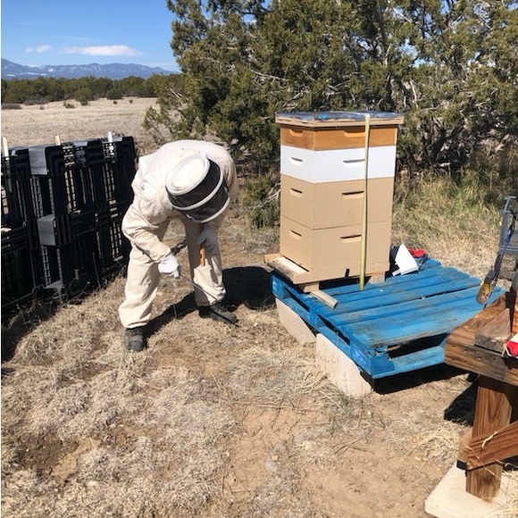 Beeswax Body Balm all natural Lavender
For Sue - Picture 4 of 6